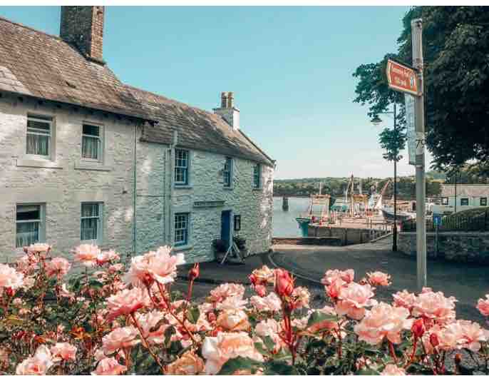A waterfront view is captured, featuring a serene scene of a fishing port framed by blooming pink roses. A white-painted building stands in the foreground, with boats visible in the harbor, emphasizing the peaceful ambiance of the area.