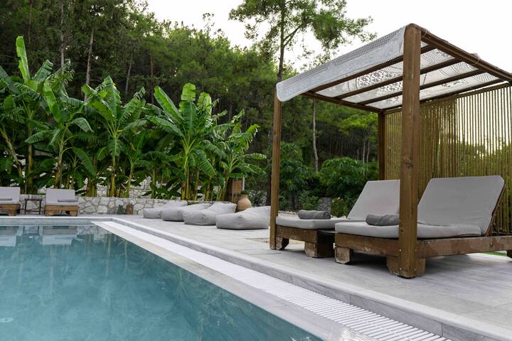 Dasýlio – earthy living rho gallery image 4