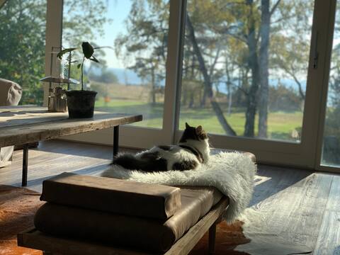 Apartment by the beach Mossbystrand