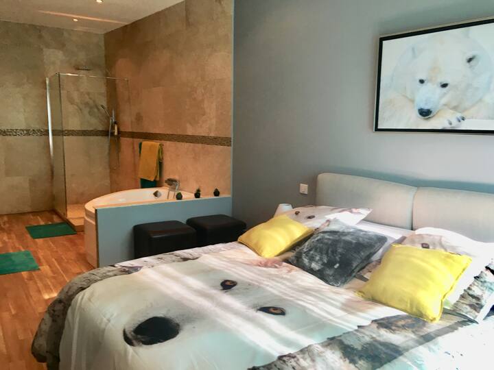 ห้องนอนใหญ่ (1)