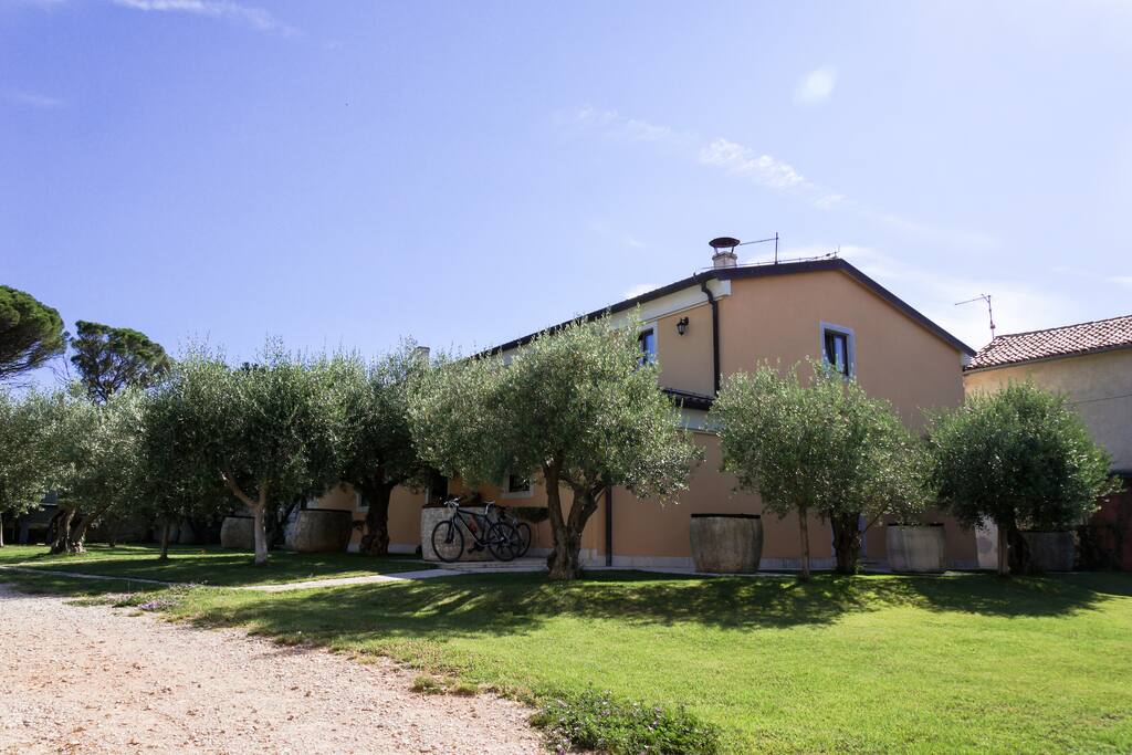 Guest House Olive..