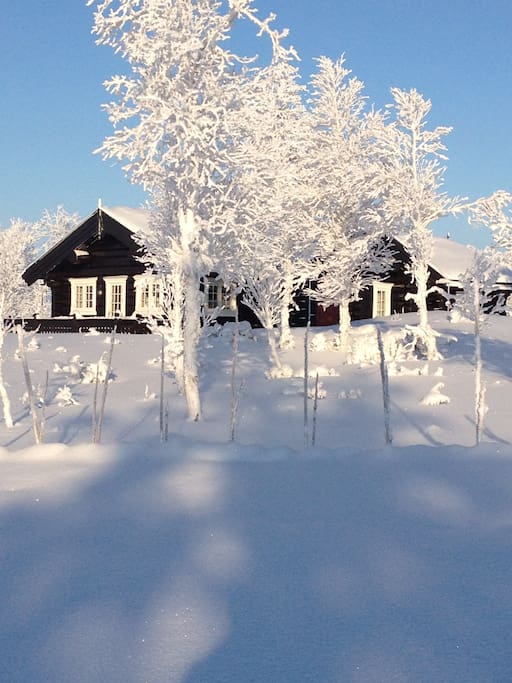 Winter time..!