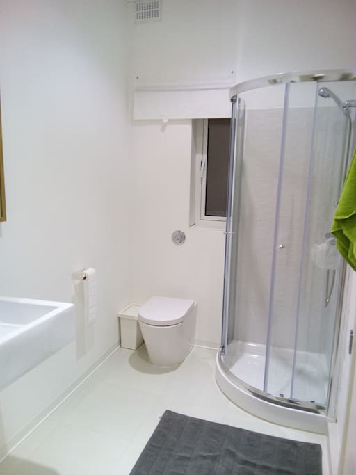 The residence has 4 bathrooms, this is the closest to the single bedroom