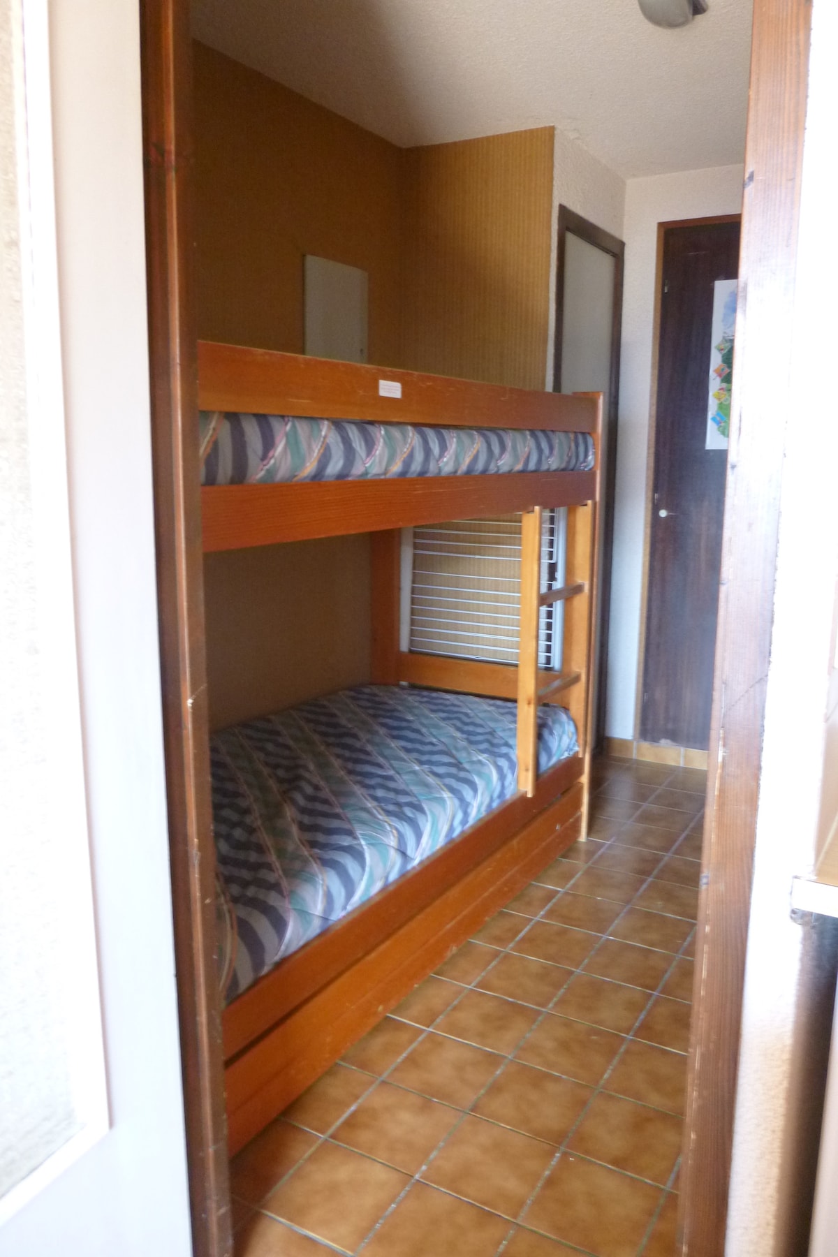 Монета Монтан