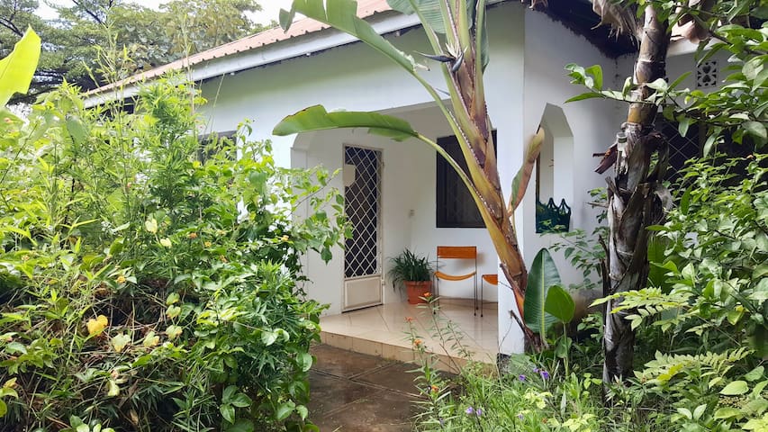 One Bed House in Leafy Suburb