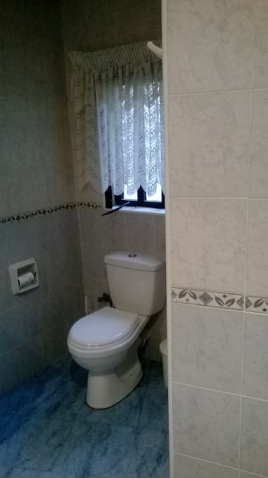 Toilet 1