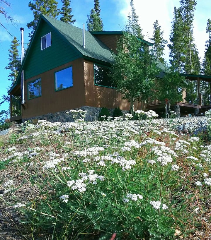 Medicine Bow National Forest, ATV and more Cabins for Rent in