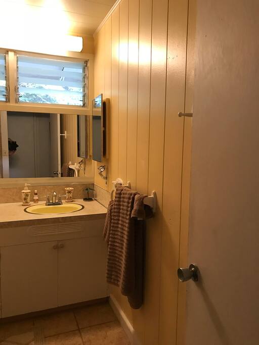 Guest bathroom