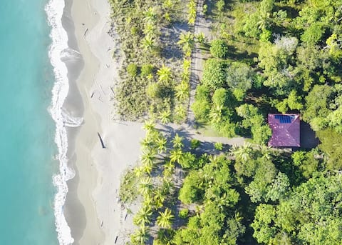 Beach house. Sea, mangrove, lagoon & jungle