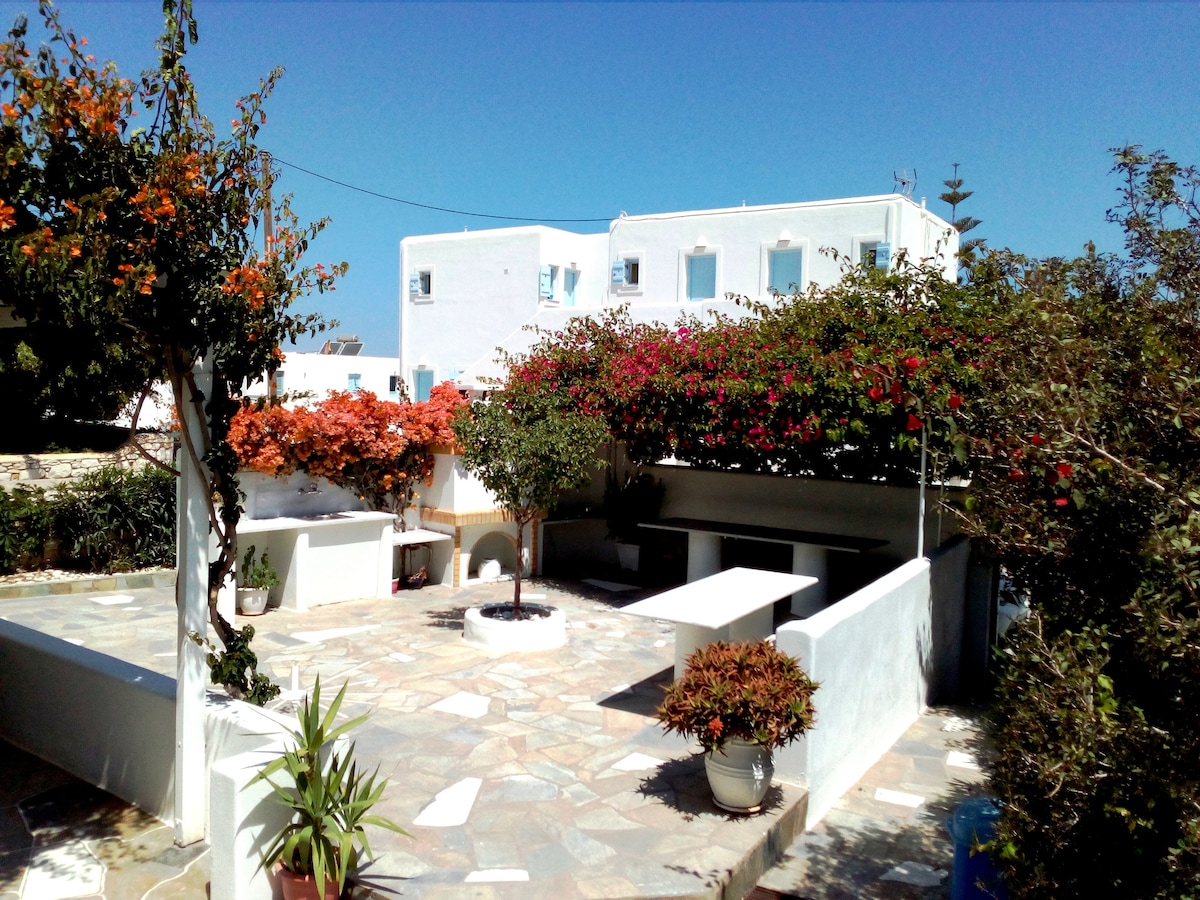 A serene outdoor area is surrounded by lush greenery and blooming flowers. Stone pathways lead to comfortable seating arrangements under shaded trees, offering a peaceful atmosphere. The white-walled building in the background complements the vibrant colors of the garden.