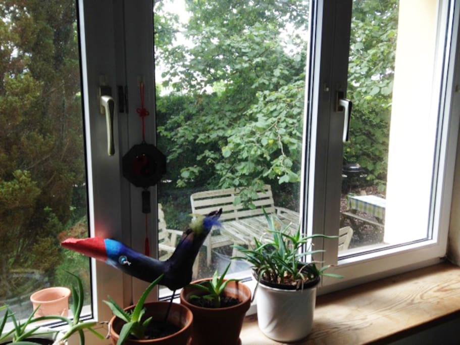 my nice garden is perfect place to work or relax