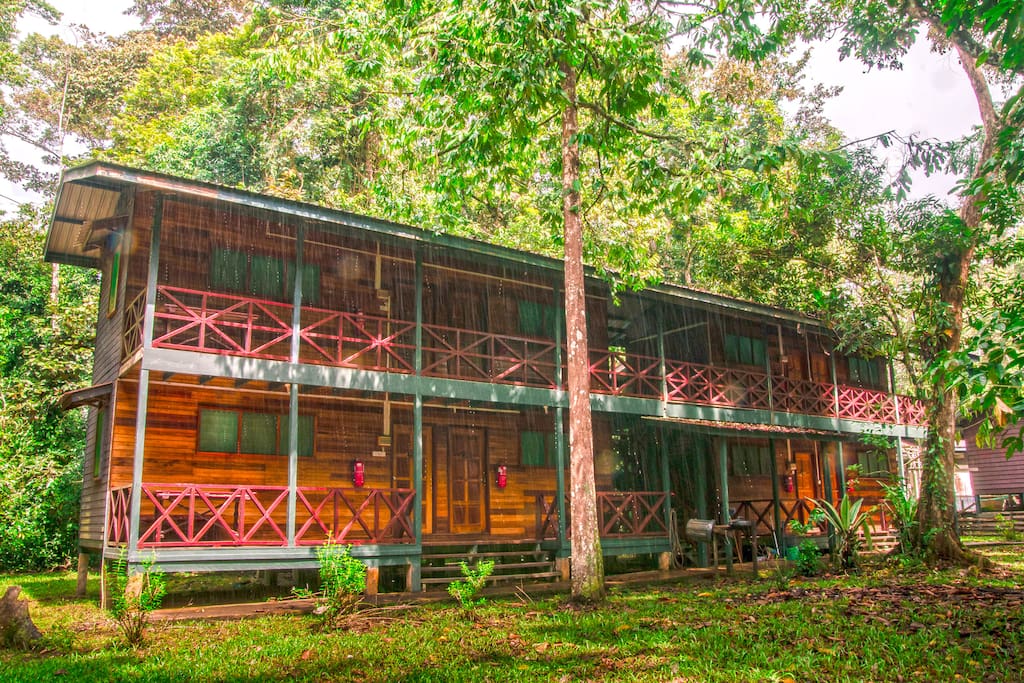 Double Decked Long House in the middle of the jungle.