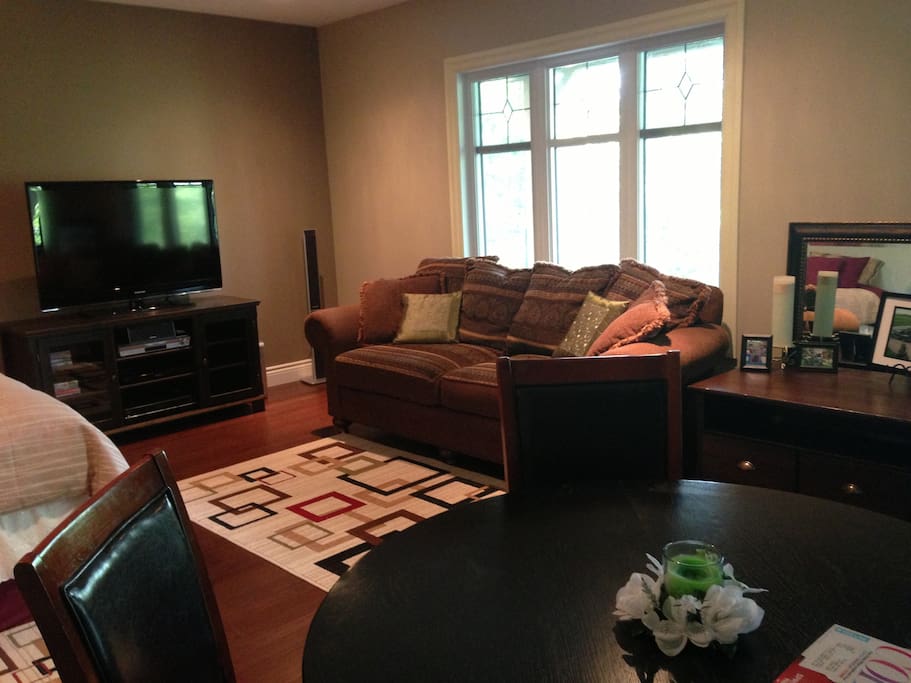 Private room with couch, TV (netflix) and dining table.