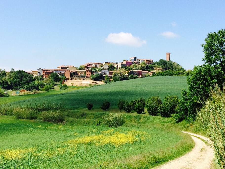 Viarigi