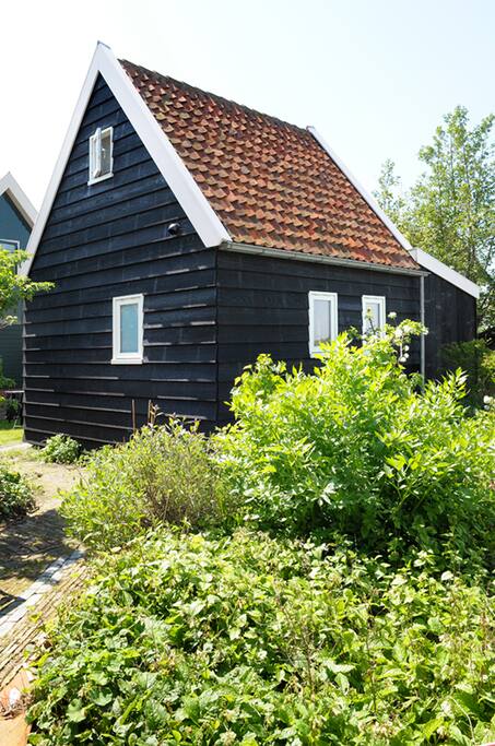 Midden in de tuin.