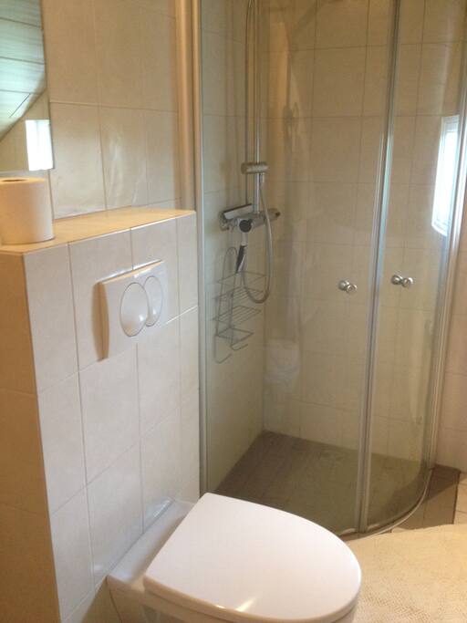 The shower