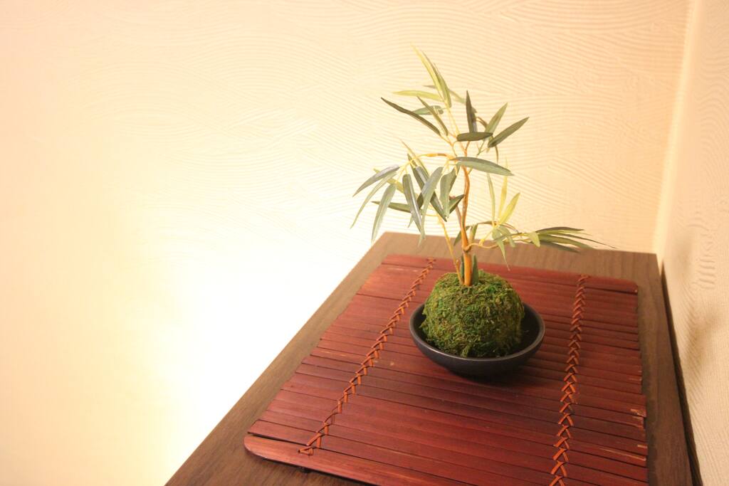 部屋には苔球を飾り和を演出しています。
A small bonsai is displayed in the room.