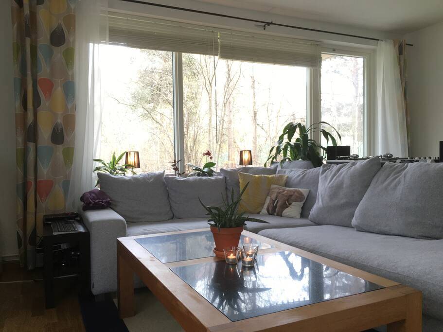 Cozy livingroom