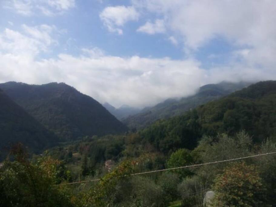 Scenery