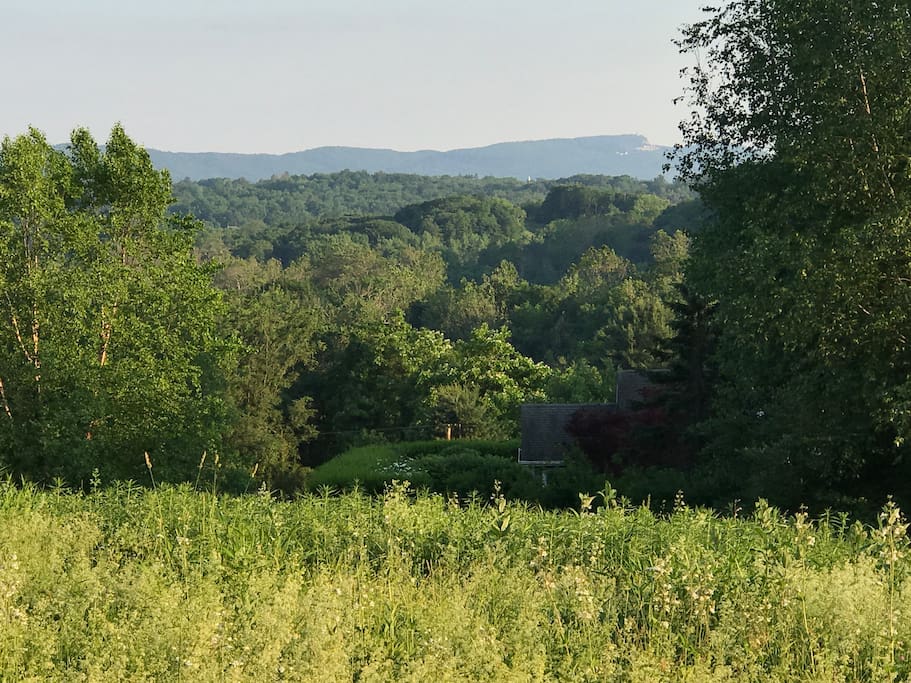 View of Shawangunk Ridge from yard. You can see Mohonk Mountain House in the distance.