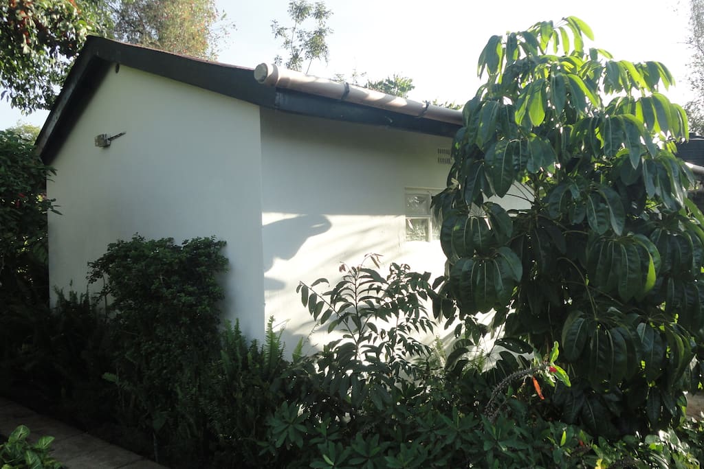 Hibiscus Cottage