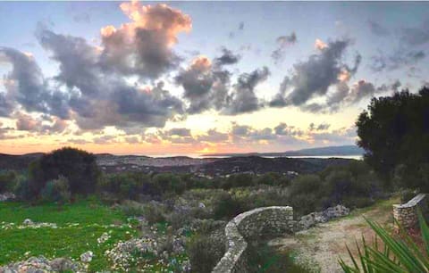 Dollhouse with a view