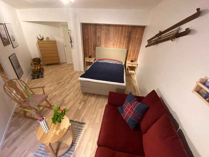 Apartment 10 min from city center, free parking.