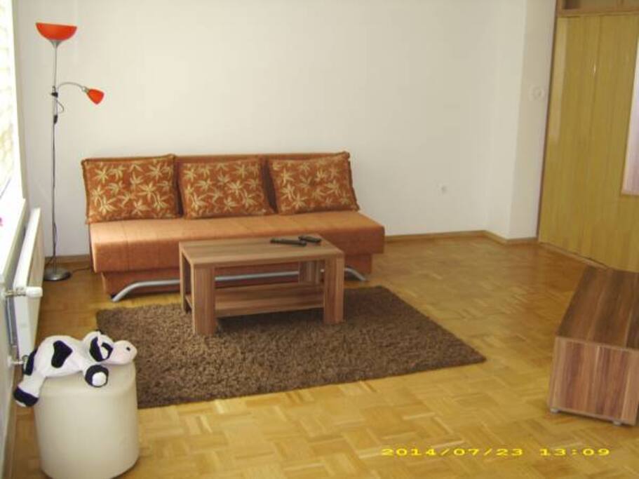 Living room space (folded sofa bed)
