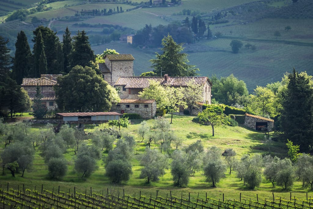 Follow us on Instagram : www.picbear.com/massetoinchianti and Facebook : www.facebook.com/MassetoInChianti/