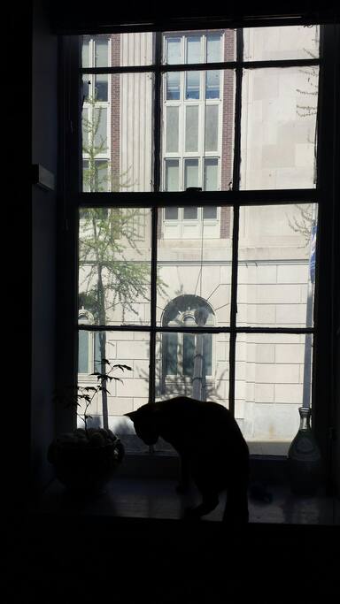 Window view