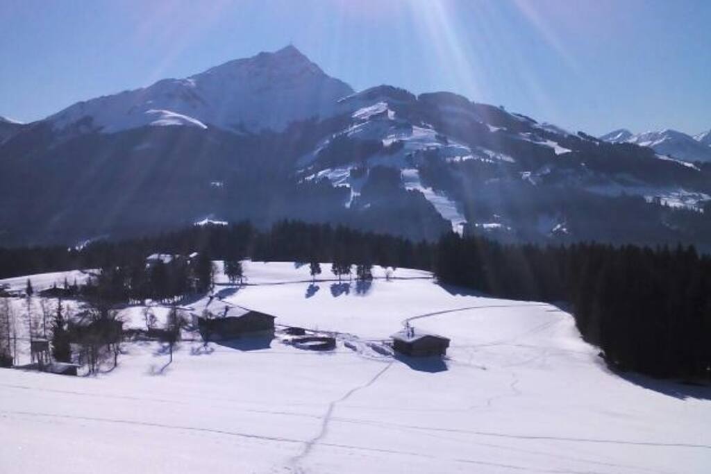 Kitzbüheler Horn
