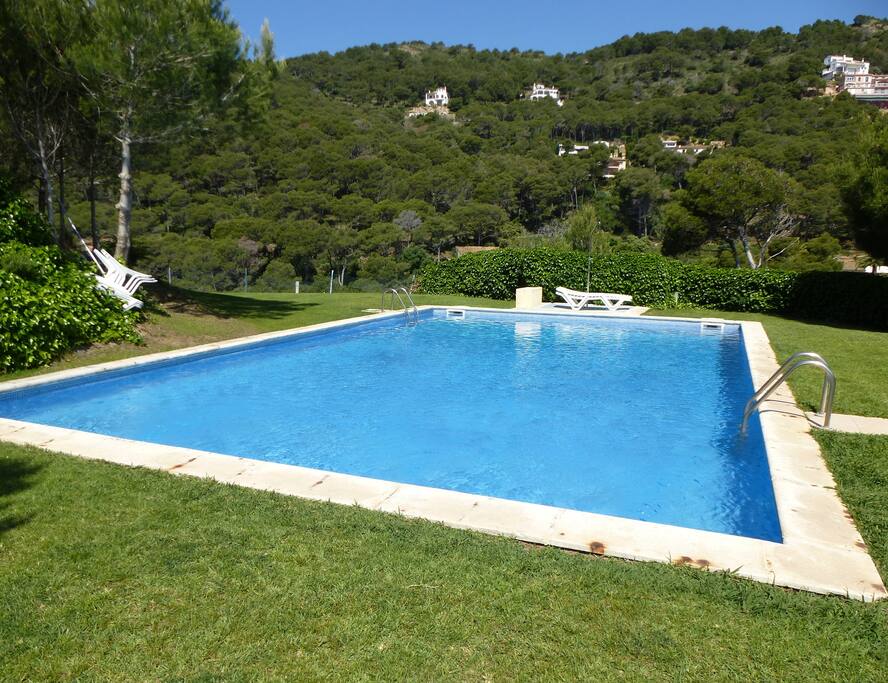 La piscine de la résidence partagée