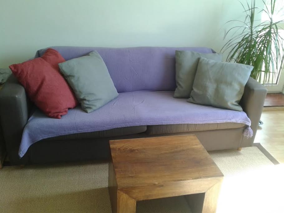Sofa (pull out)