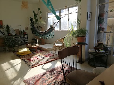 the house of the afternoon sun