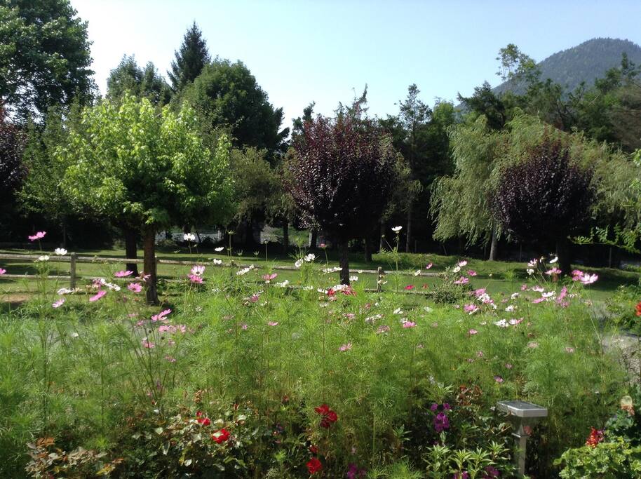 Parc