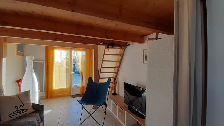 Gîte "La Salicorne", Entre Océan Et Marais,  2* - Châtelaillon-Plage