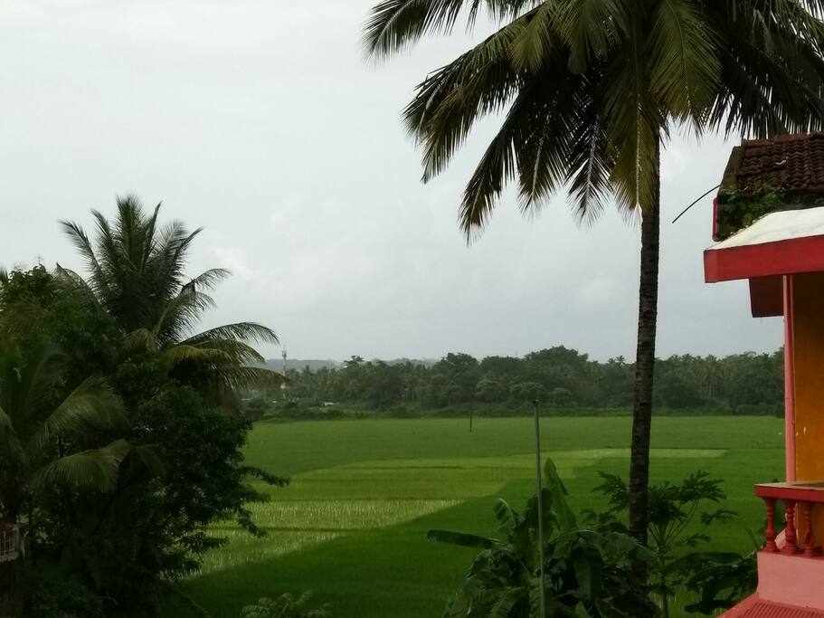classic view from balcony