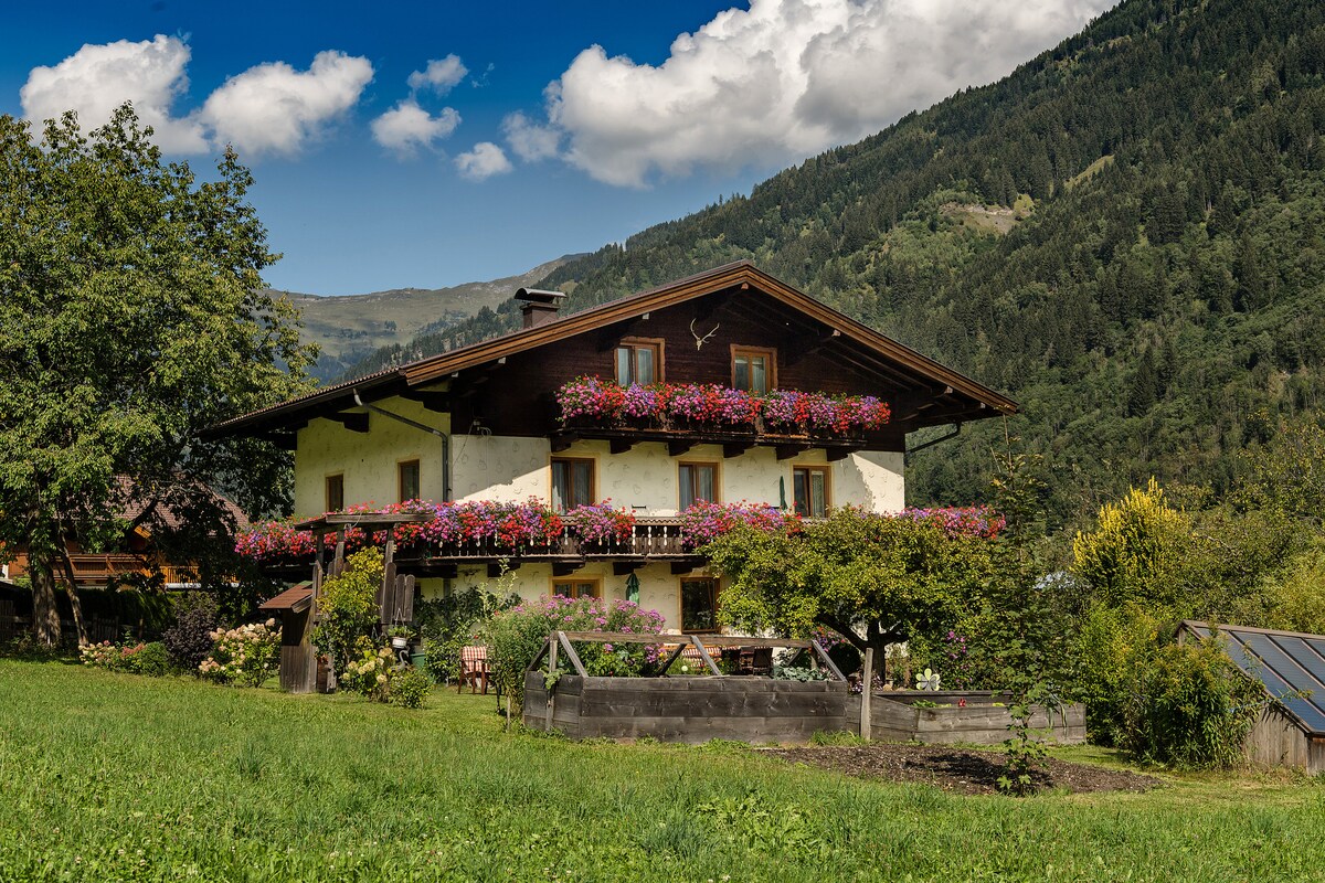 A charming alpine house is surrounded by lush greenery and colorful flower boxes, with a spacious garden area visible. The building showcases multiple balconies adorned with vibrant flowers. Majestic mountains rise in the background, and the sky features scattered clouds.