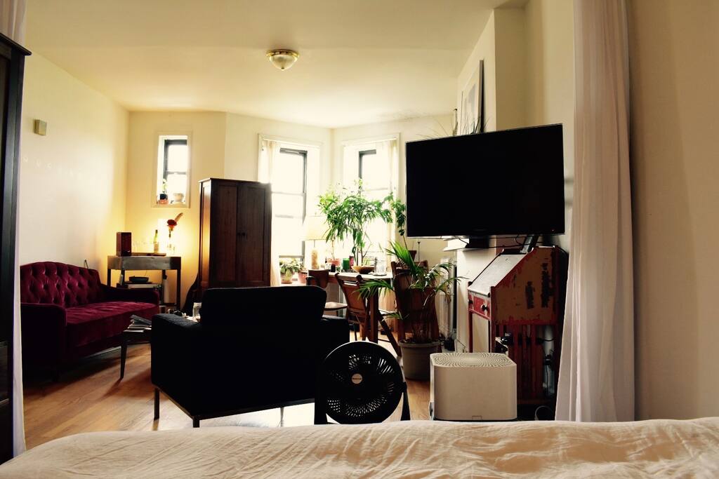 As you can see from this perspective, the bed faces the studio area where the couch and table are. The bed area can be closed off by two sheer curtains.