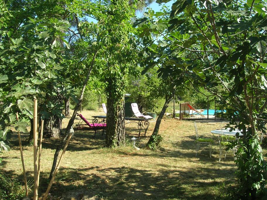 repos et détente,lecture et partage autour des transats dans l'espace jardin autour de la piscine
