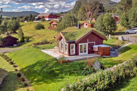 Successful Airbnb property: Charming cabin with mountain views near Vangslia in Oppdal