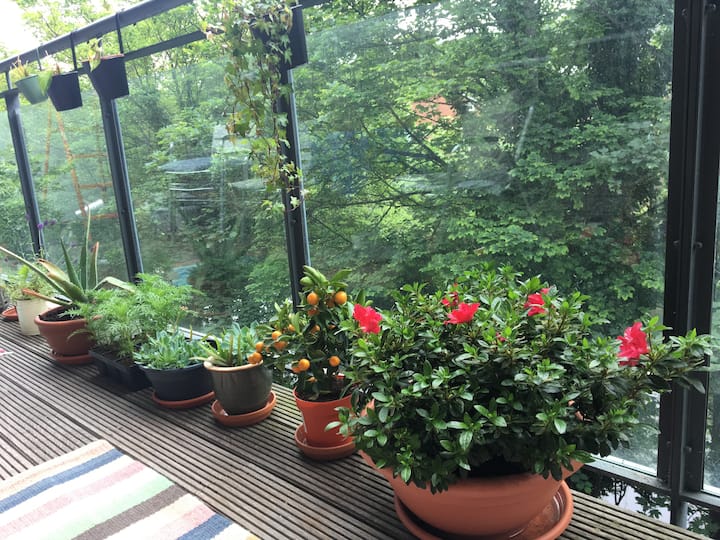 Dublin locations de vacances et logements County Dublin, Irlande