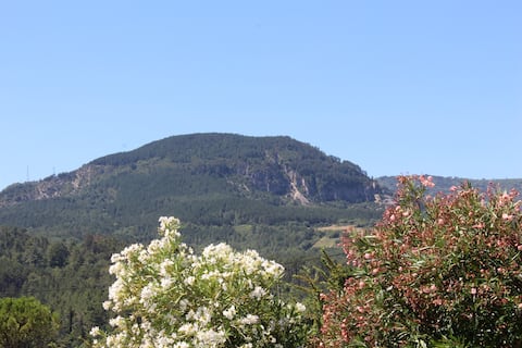 Small House for 4 People + 2