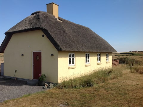 Popular Airbnb listing: Guest house by the North Sea in Lemvig