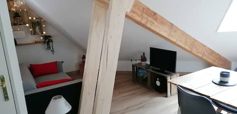 Popular Airbnb listing: Rental of 38 m2 2 bedroom apartment in Allevard
