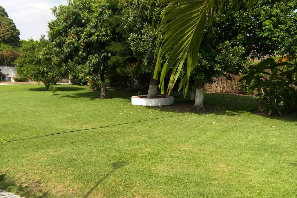 Amplio Jardin con columpios y carrusel.