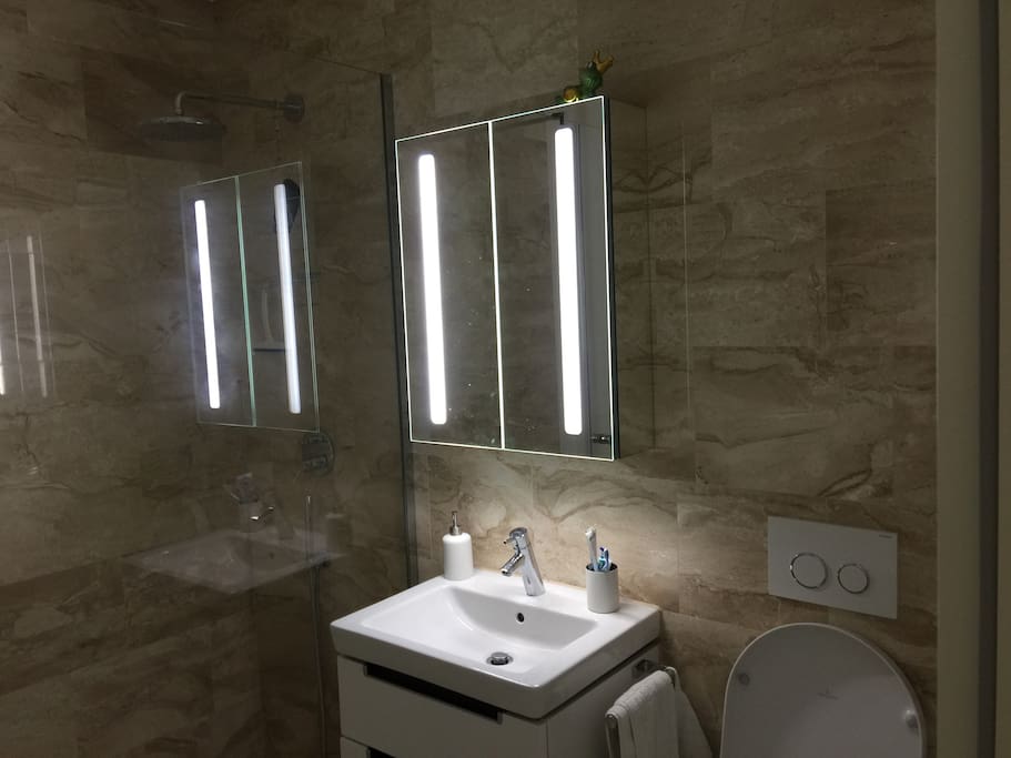 Shower and Toilet (private use)