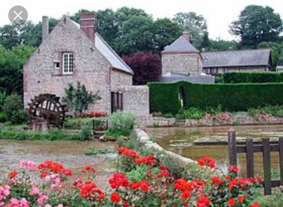 vue du moulin sur une des balades a faire dans veules les roses