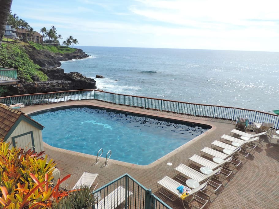 Our heated, oceanfront pool is The Place for Leisure and Relxation