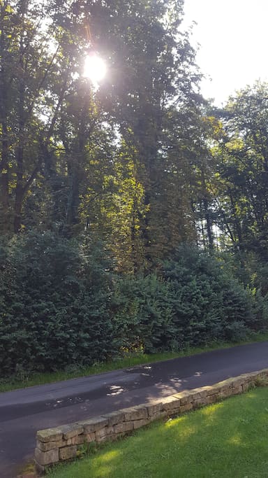 Direkt auf der gegenüberliegenden Straßenseite des Hauses befindet sich Wald
